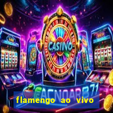 flamengo ao vivo hd play