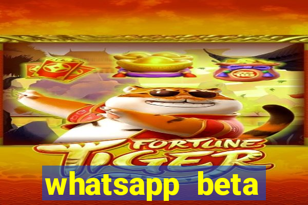 whatsapp beta 3.3.10 2024