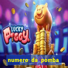 numero da pomba jogo do bicho