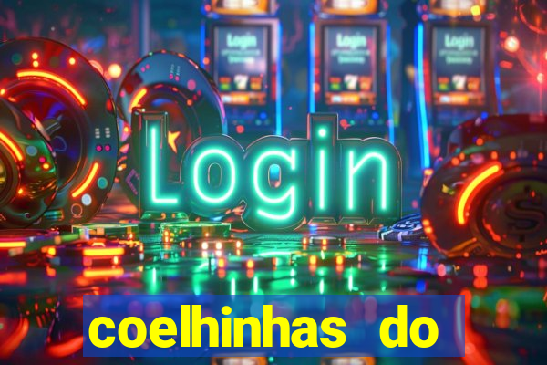 coelhinhas do brasil recife