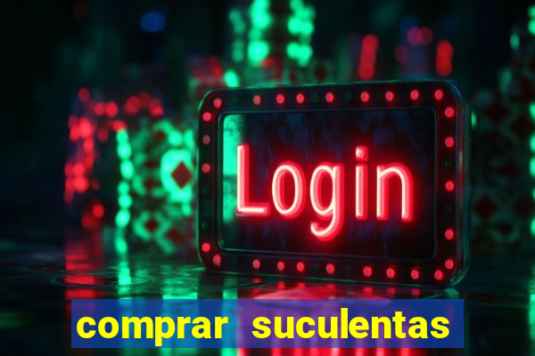 comprar suculentas direto do produtor