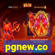 pgnew.co