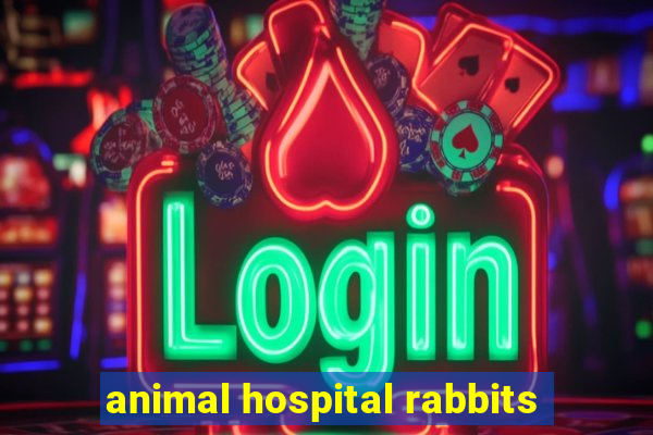 animal hospital rabbits