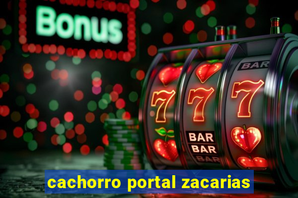 cachorro portal zacarias