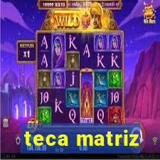 teca matriz