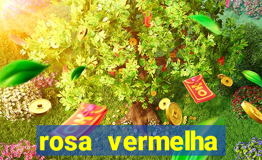 rosa vermelha (letra e cifra)