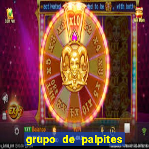 grupo de palpites de futebol whatsapp