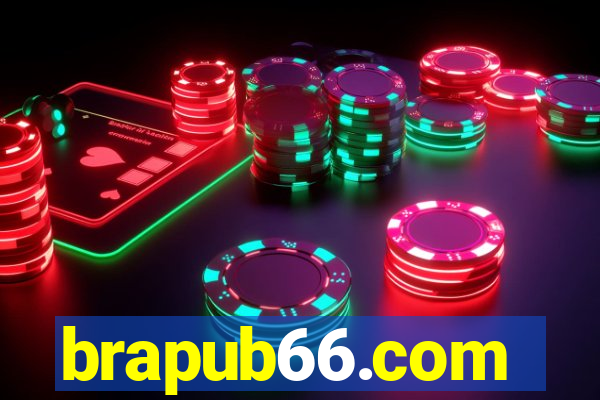 brapub66.com