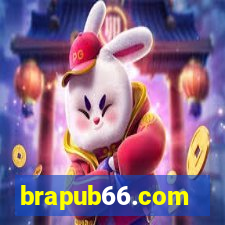 brapub66.com