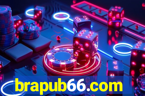 brapub66.com