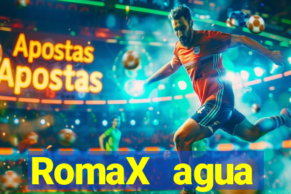 RomaX agua sanitaria fispq agua sanitaria romax