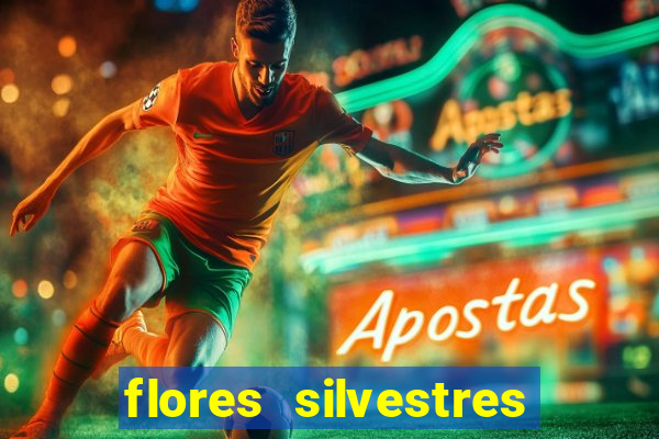 flores silvestres desbravadores desbravadores 25