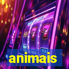 animais-pg.com