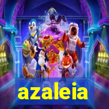 azaleia-br.com