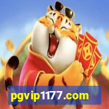 pgvip1177.com