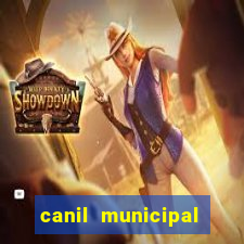 canil municipal porto alegre