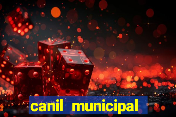 canil municipal porto alegre