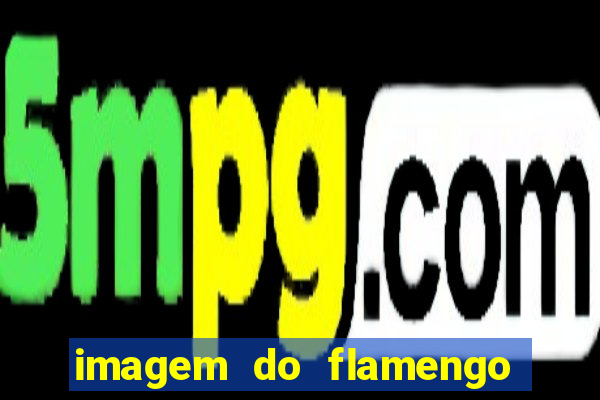 imagem do flamengo para perfil