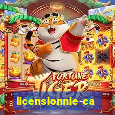 licensionnie-casino.ru