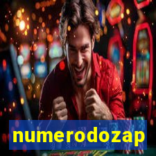 numerodozap