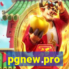 pgnew.pro