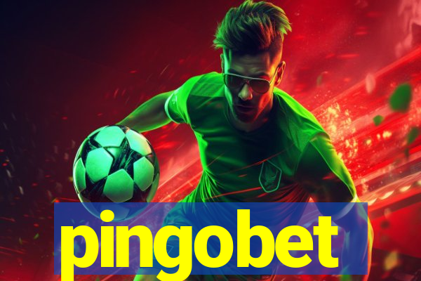 pingobet