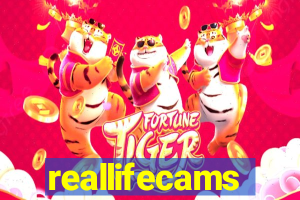 reallifecams