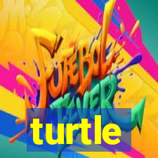 turtle-ty.com